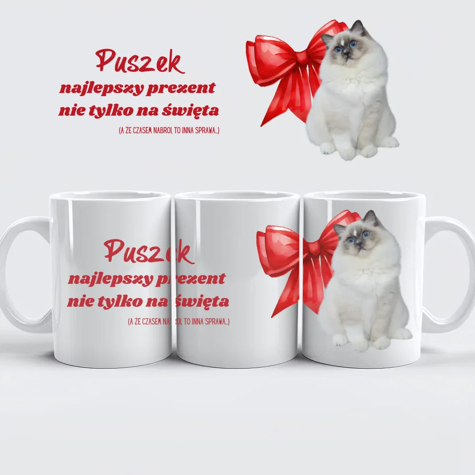mockup kubkow
