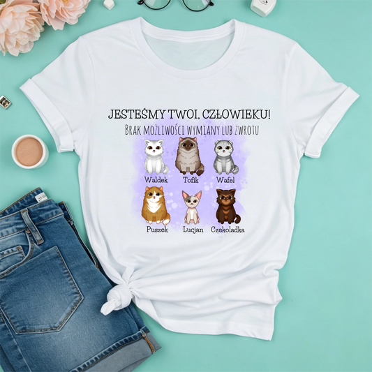 freepik__create-a-macup-of-a-snowwhite-tshirt-on-a-mint-bac__17382