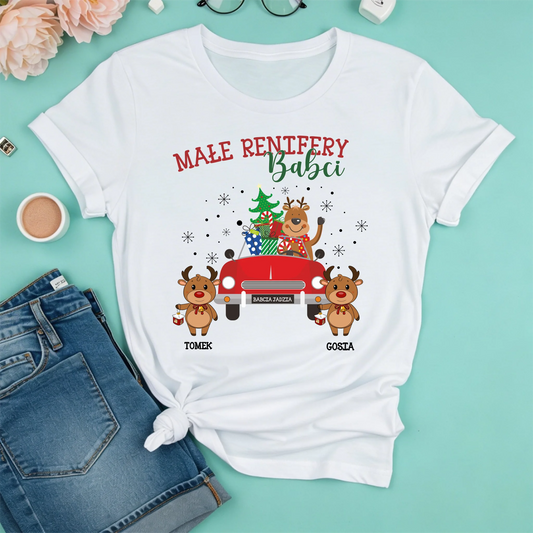 freepik__create-a-macup-of-a-snowwhite-tshirt-on-a-mint-bac__17382